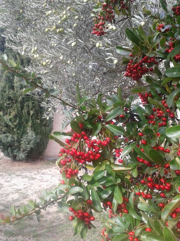 Lauris La Petite Maison De Marie Louise מראה חיצוני תמונה