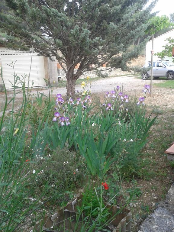 Lauris La Petite Maison De Marie Louise מראה חיצוני תמונה